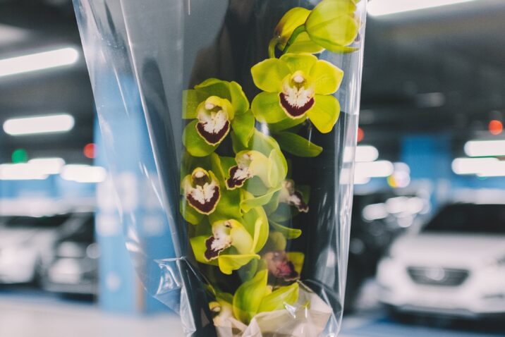 Best Valentine's Day Gifts