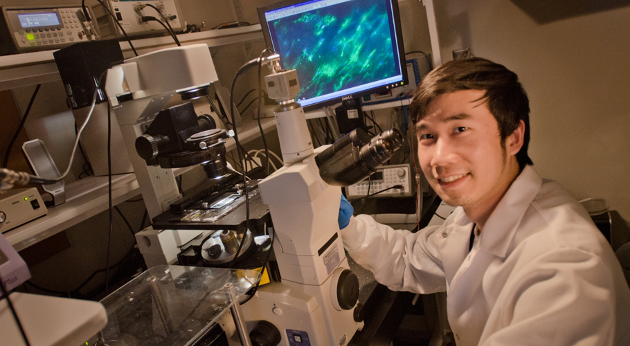 Biomedical: Opening a New era for Health Care