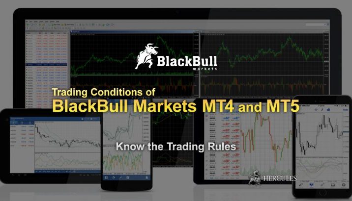BlackBull Markets