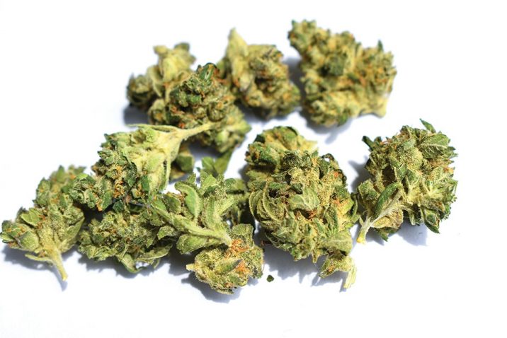 Goldbuds
