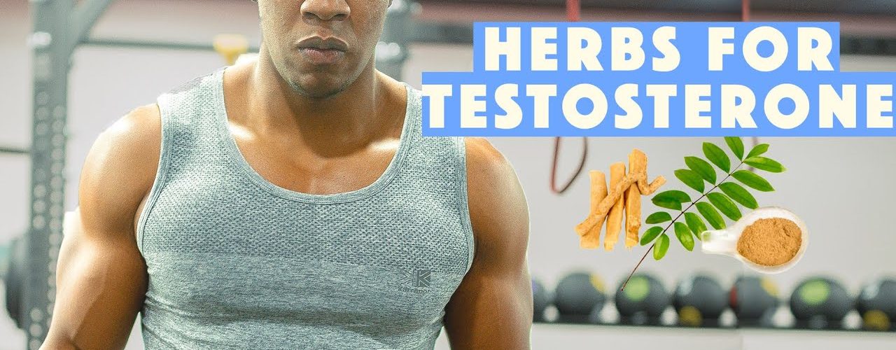 testoprime reviews