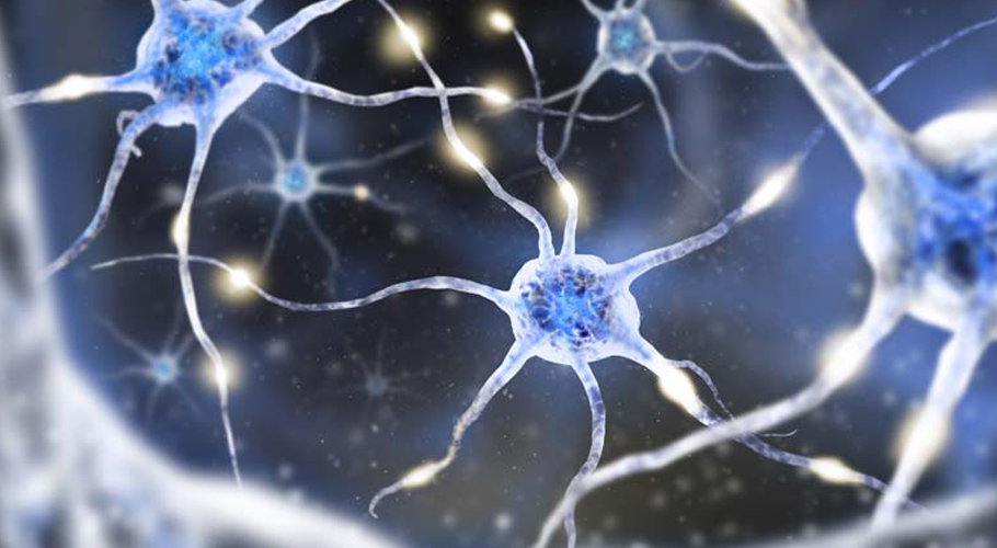 NeuroFuse Health Supplement