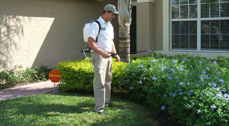 Pest control business