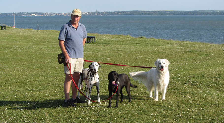 Pet Care Business Opportunities