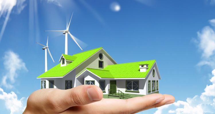 Real Estate Services