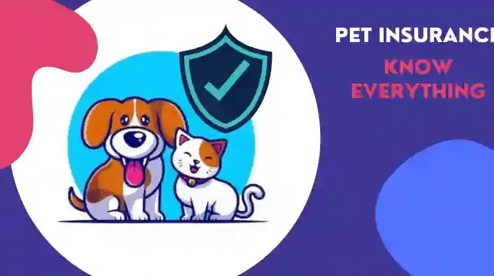 Pet insurance