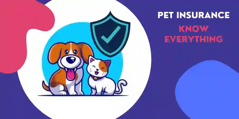 Pet insurance