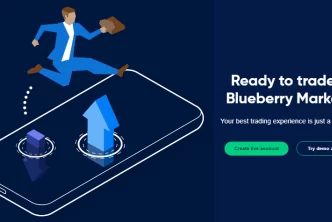 Blueberry Markets Review