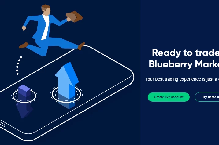Blueberry Markets Review