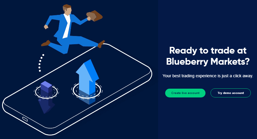 Blueberry Markets Review