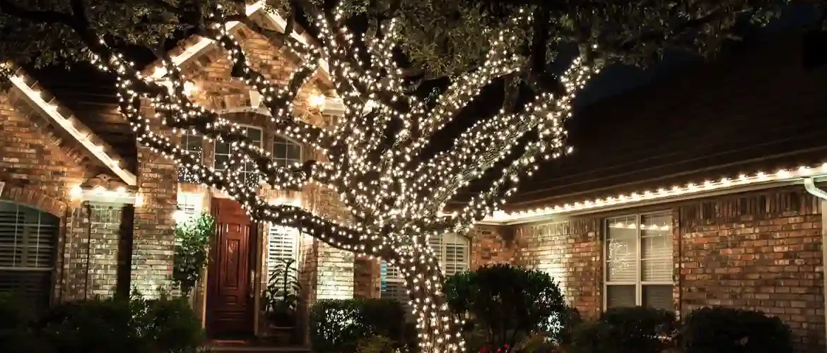 Christmas Light Installers