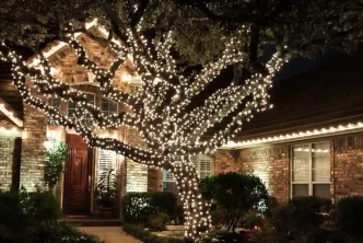 Christmas Light Installers