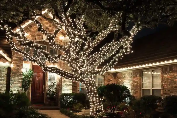 Christmas Light Installers