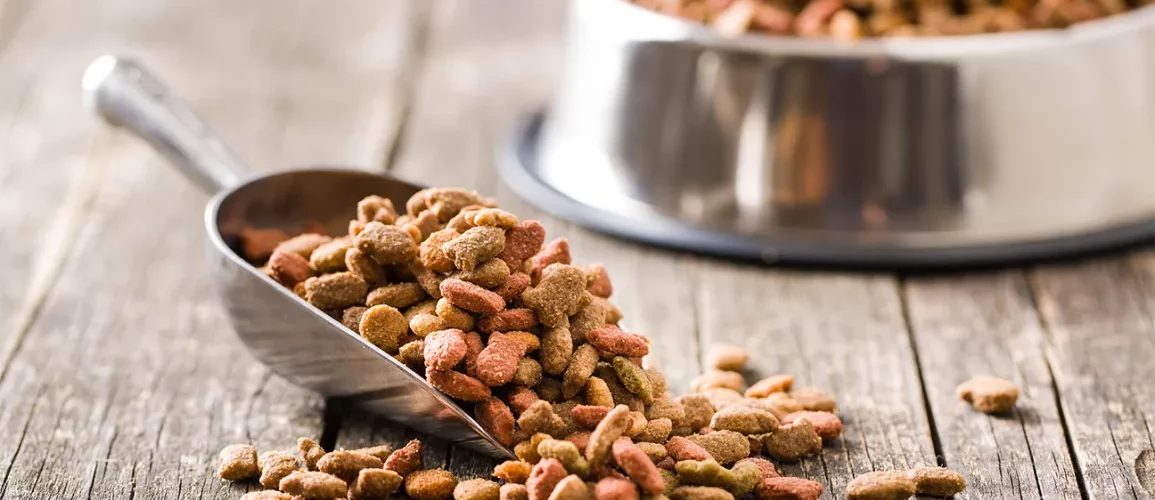 Dog Food