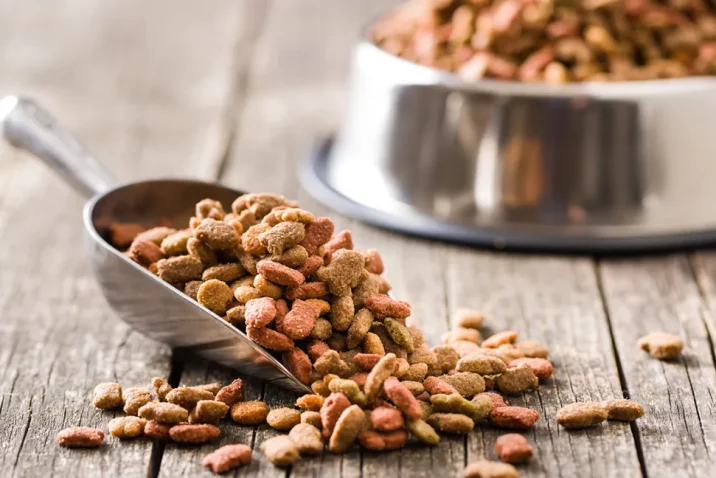 Dog Food