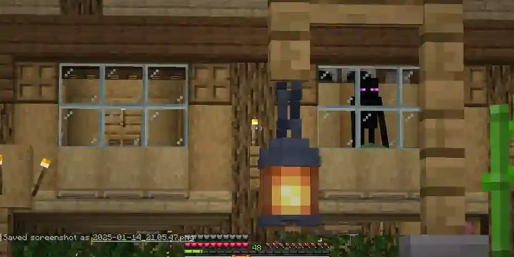 Enderman