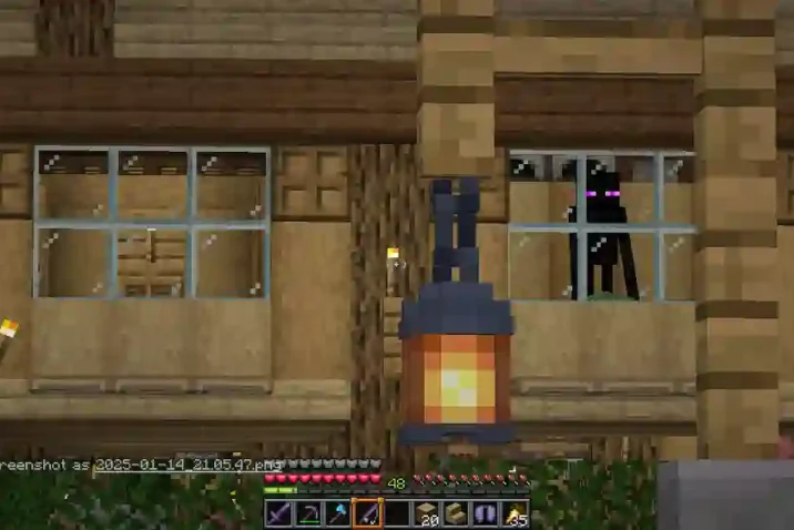 Enderman