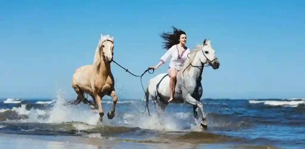 Horse Riding in San Diego