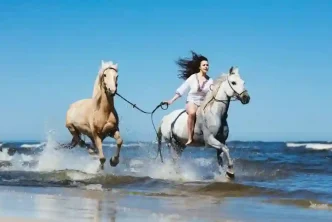 Horse Riding in San Diego