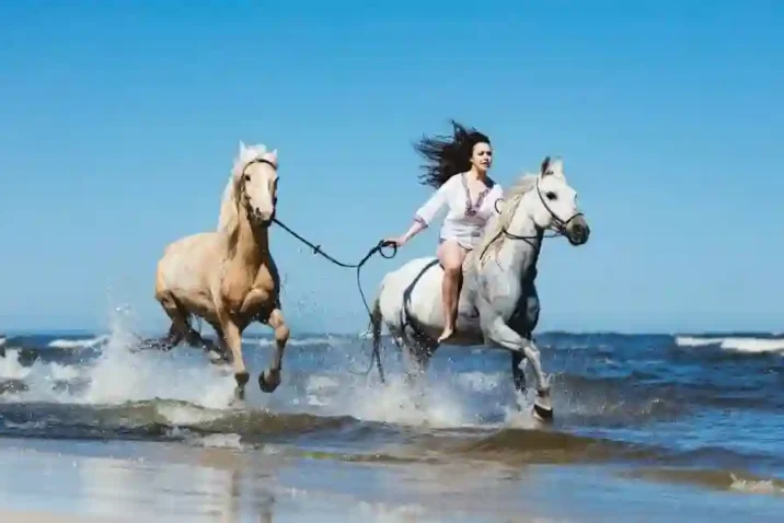 Horse Riding in San Diego