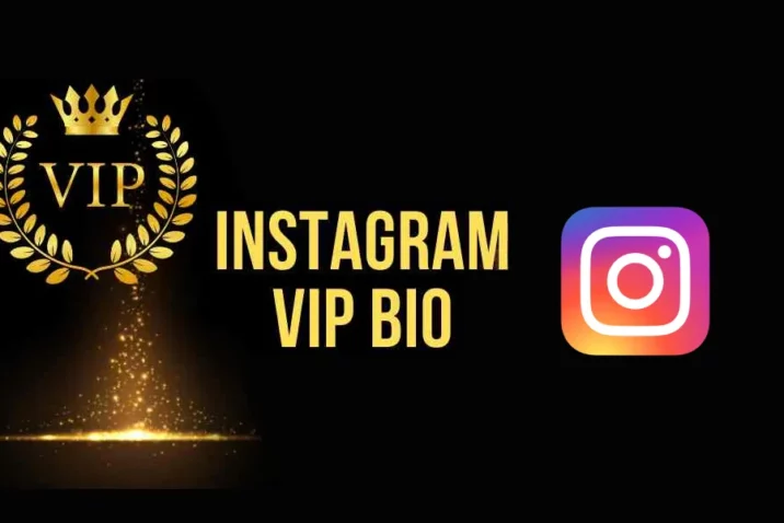 Instagram VIP Bio Stylish Font