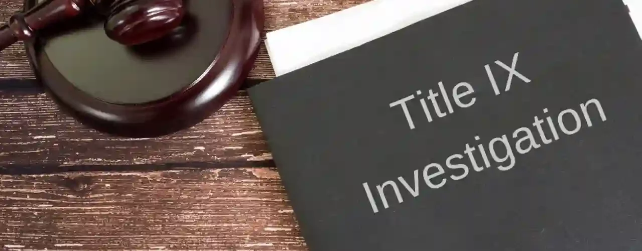 IX Investigations