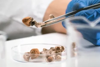 Microdosing Psilocybin Mushrooms