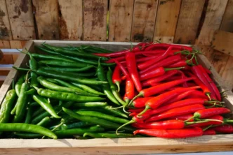 Red Chilli