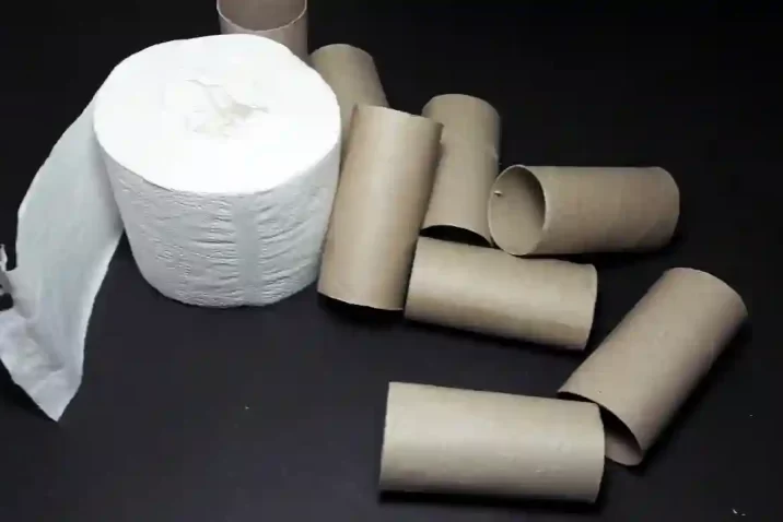 Toilet Paper Roll