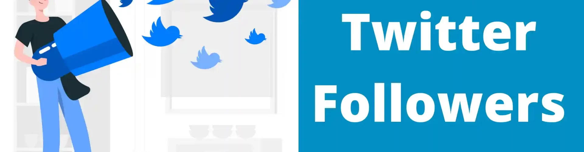 Twitter Followers