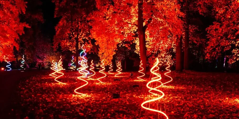Windsor Illuminated