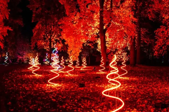 Windsor Illuminated